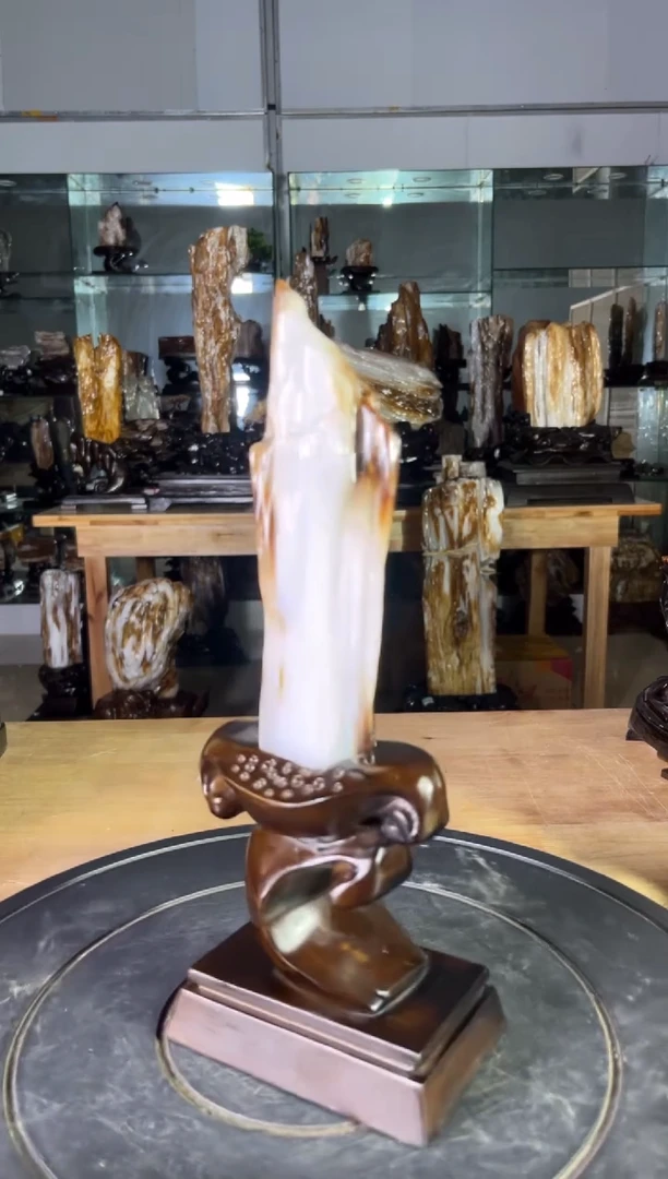 【闪购商品】硅化玉珠宝奇石未镶嵌1