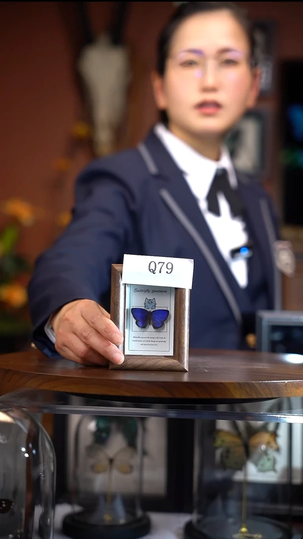 Q79    小紫饶灰蝶  木质框冰箱贴