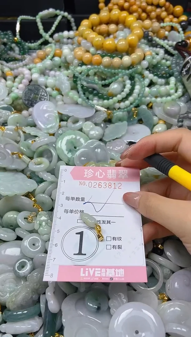 翡翠未镶嵌颈饰闪购0263812