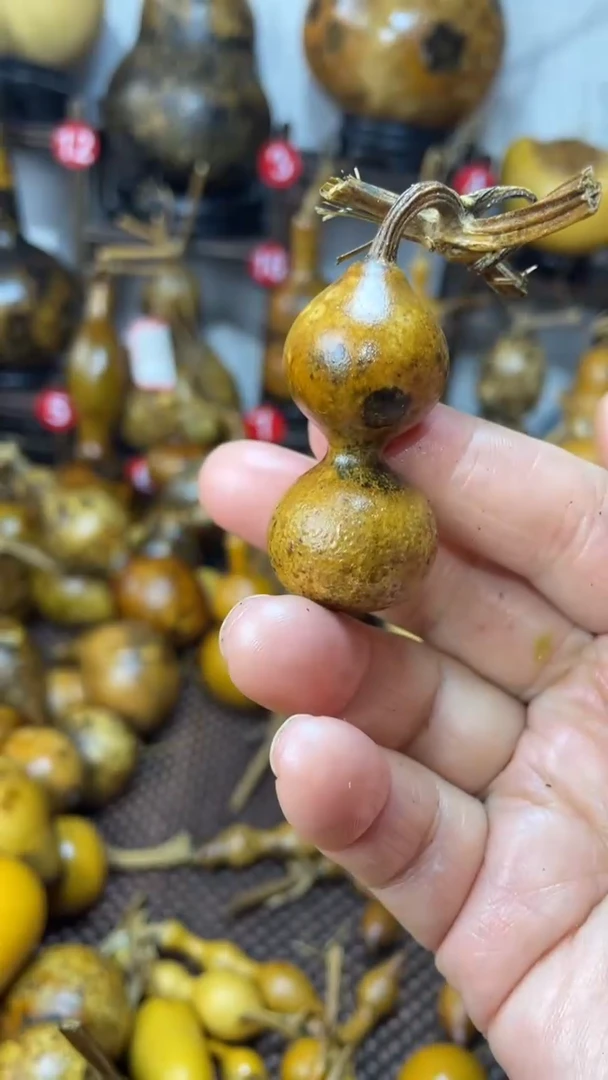 【闪购商品】葫芦葫芦葫芦葫芦葫芦葫芦