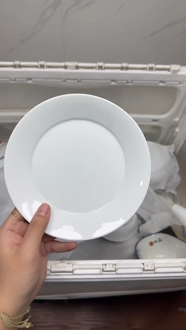 【闪购商品】841回流瓷器，默认微瑕18.8包邮