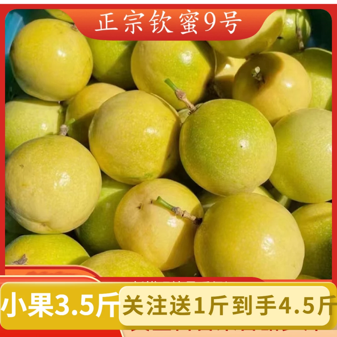 赣南正宗钦蜜9号百香果黄金百香果新鲜现摘香甜多汁3.5/7.5斤装