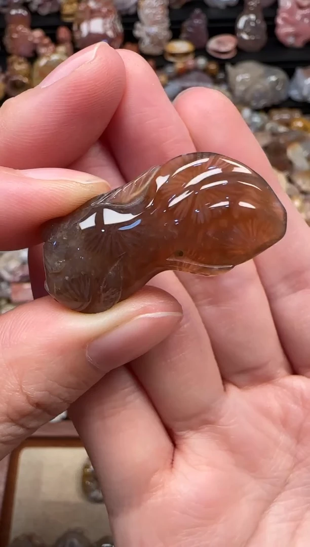 颈饰未镶嵌硅化珊瑚（珊瑚玉）149