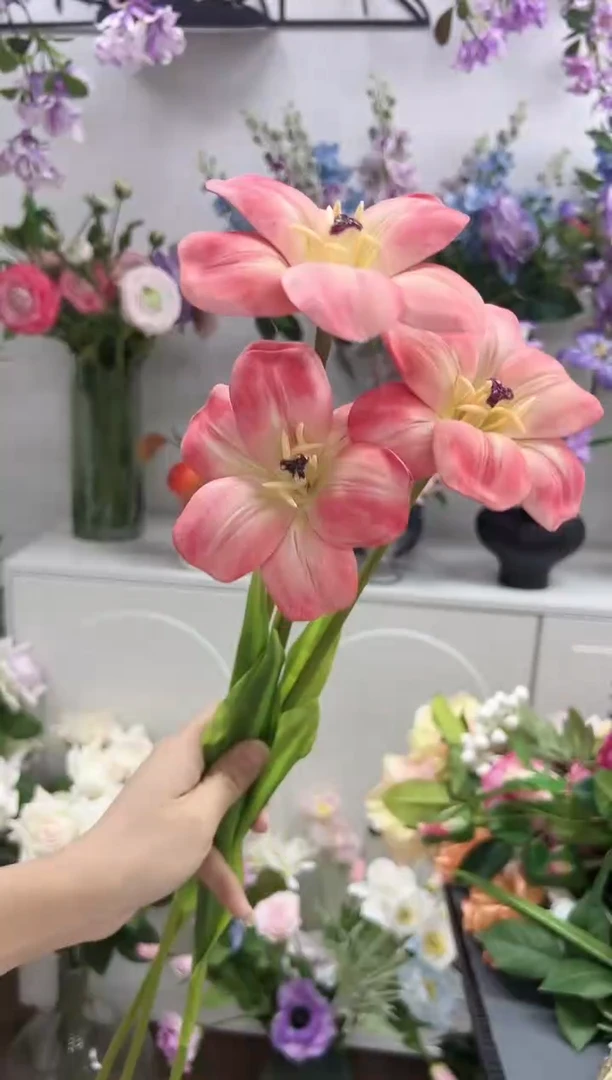 3枝橘粉布朗尼郁金香