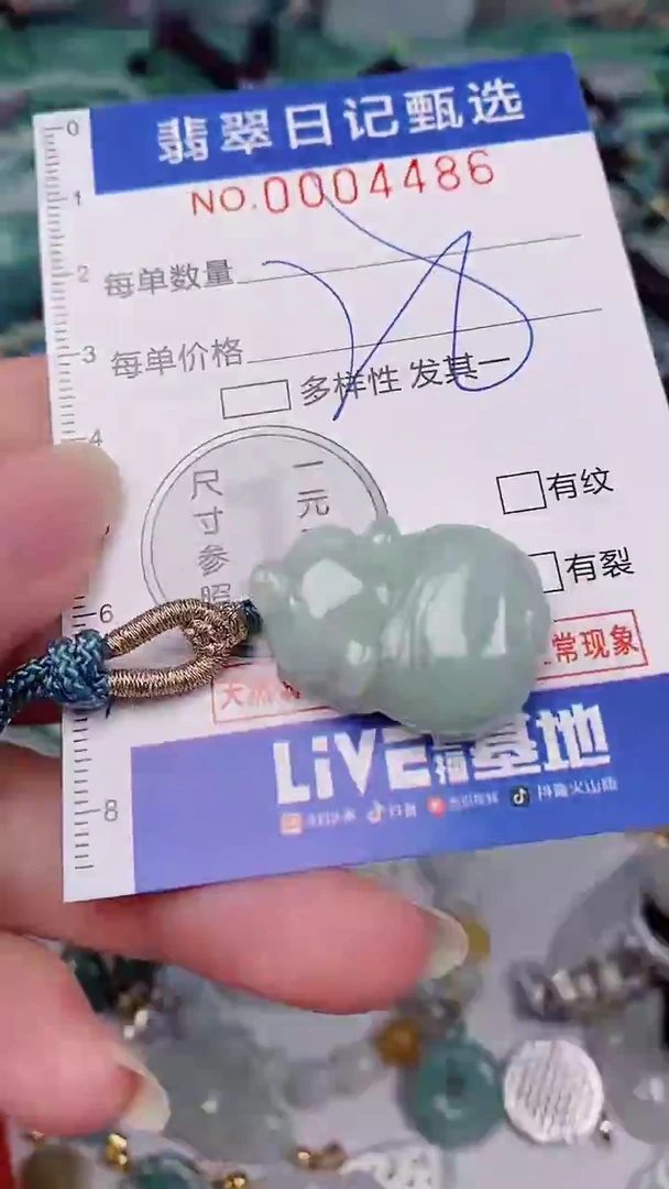 翡翠未镶嵌颈饰00004486