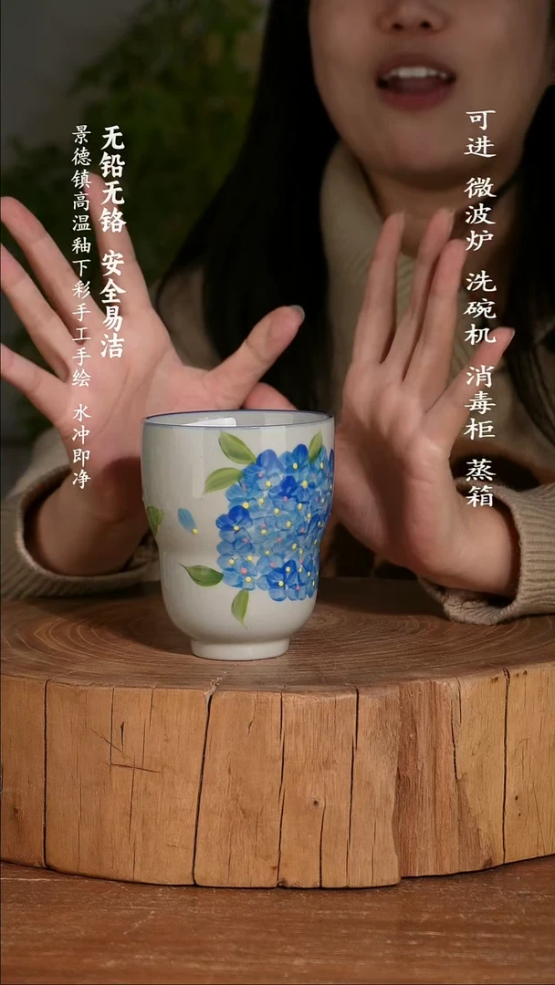 碗陶瓷景德镇高温瓷釉下彩手绘陶瓷