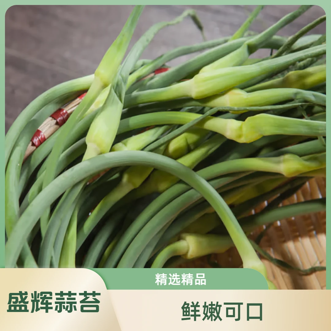 【盛辉百货】精选蒜苔250g/份
