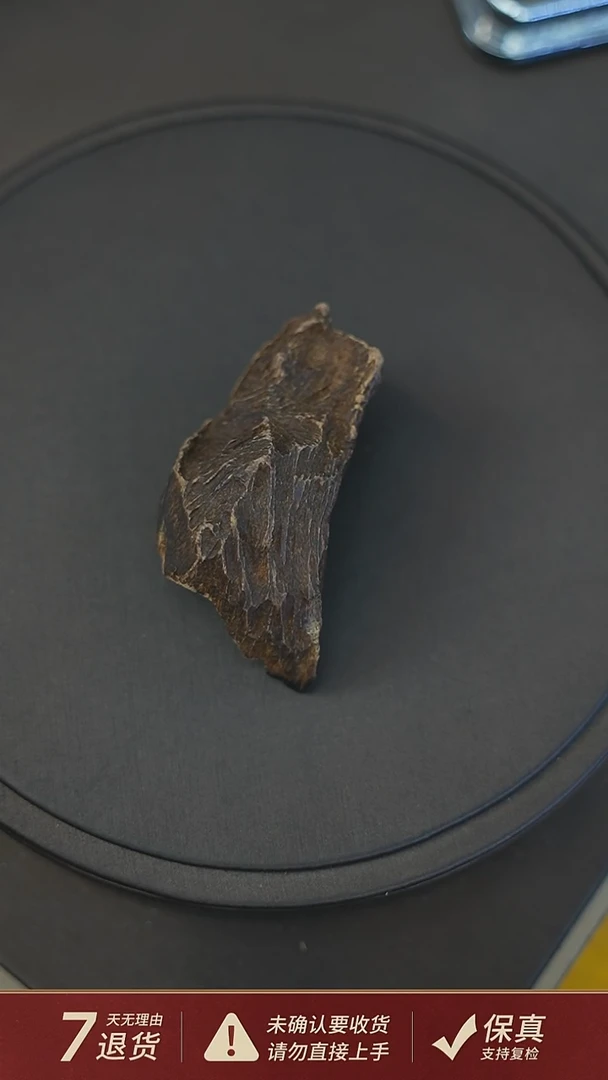 沉香沉香碎屑沉水达拉干14.87克沉香料