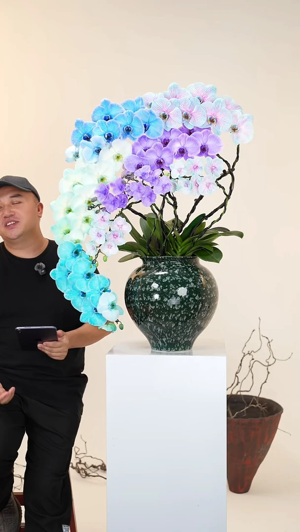 全部花朵065号链接【一物一拍】艺术盆景