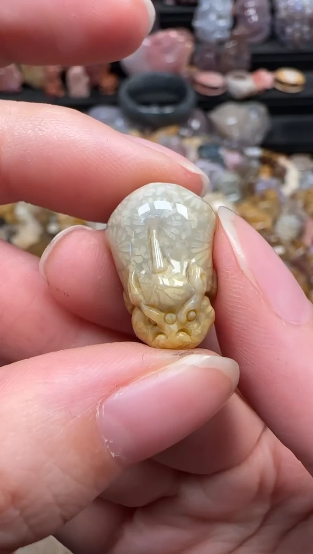 颈饰未镶嵌硅化珊瑚（珊瑚玉）291