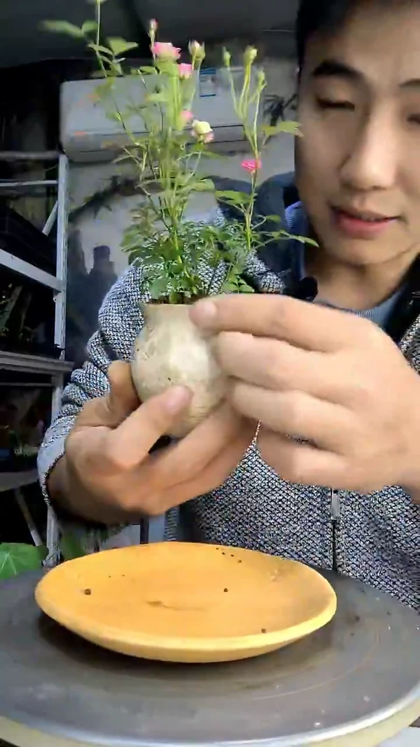 j*x中青园艺一物一拍429