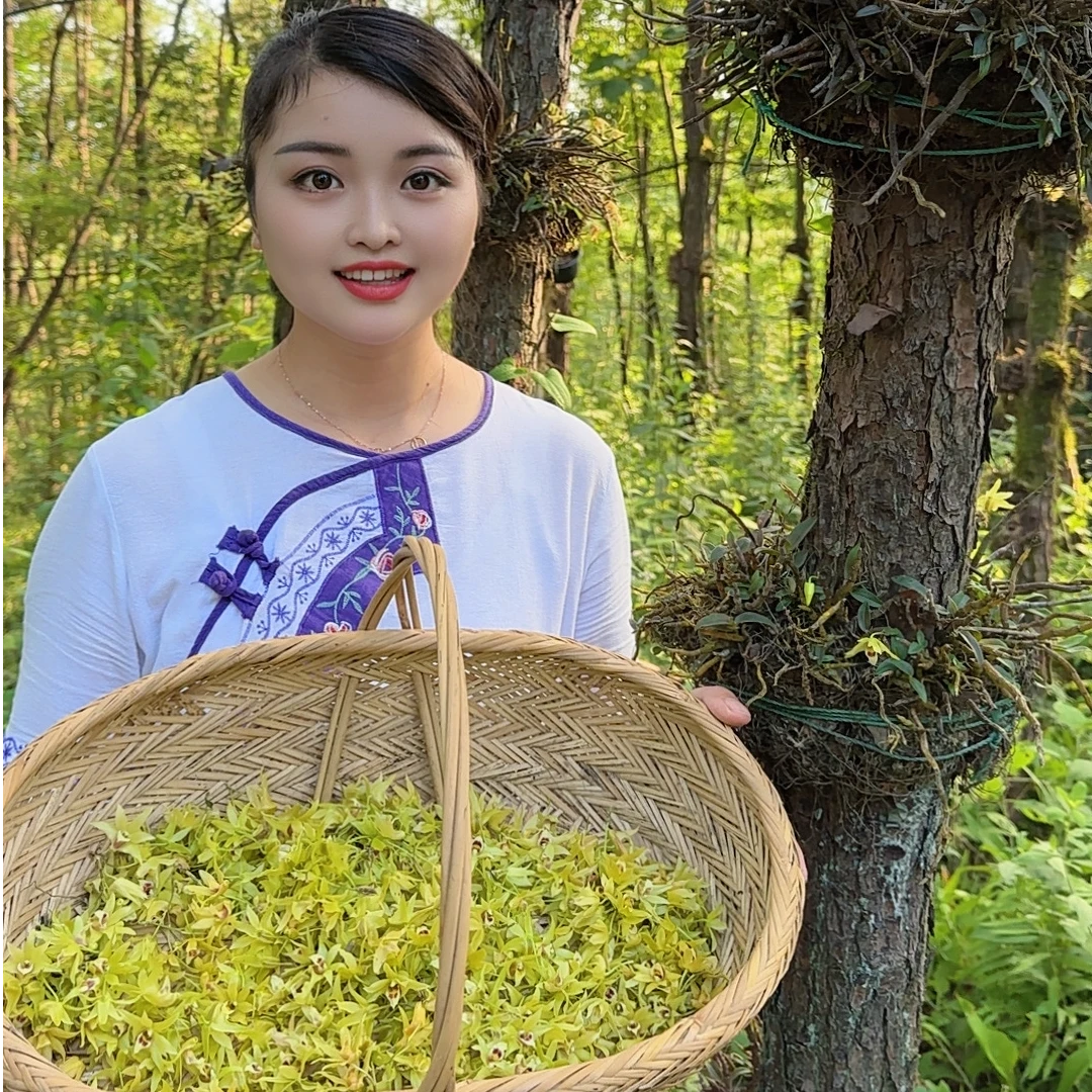 大山里的石斛花 煲汤泡茶炒菜 营养美味补佳品