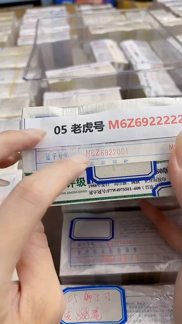 M 05 老虎号 M6Z6922222
