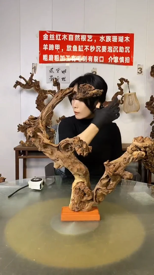香榧木八*金金丝红木 羊蹄甲