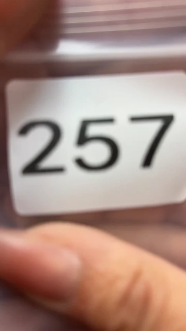 直接去拍          漂亮            漂亮      漂亮