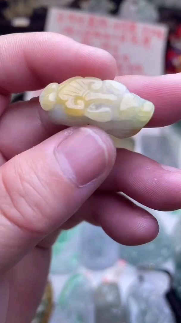 颈饰未镶嵌翡翠貔貅