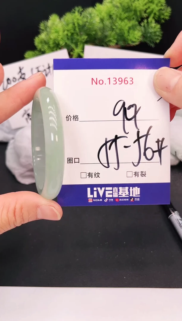 未镶嵌手镯翡翠13963