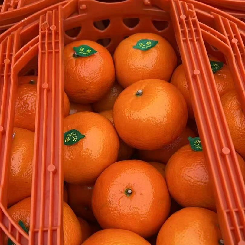 【周谷堆水果】广西武鸣沃柑净重9斤皮薄多汁超甜润香甜爽口清甜（14）