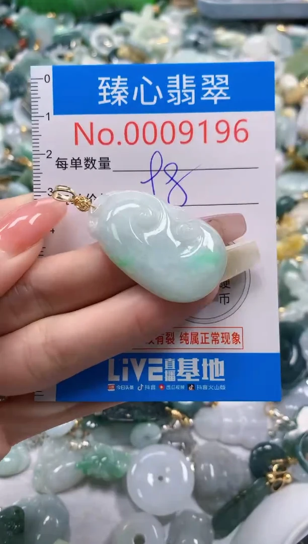 翡翠未镶嵌颈饰9196