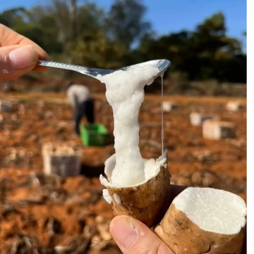 助农-云南正宗牛尾山药煲汤煮鸡冬季好搭档