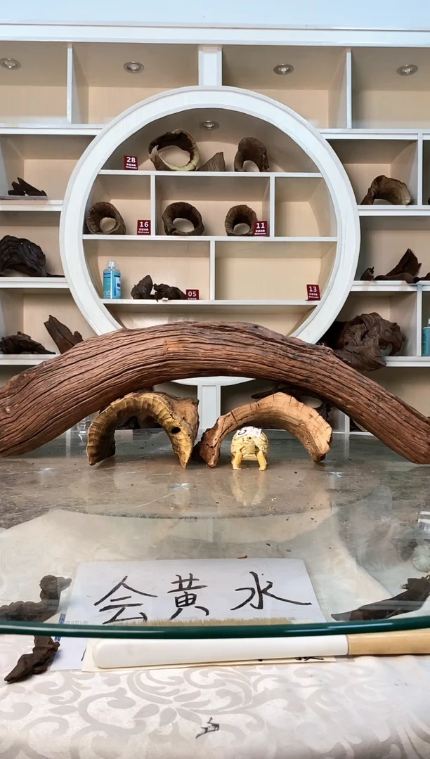 柚木鱼缸造景素材木183