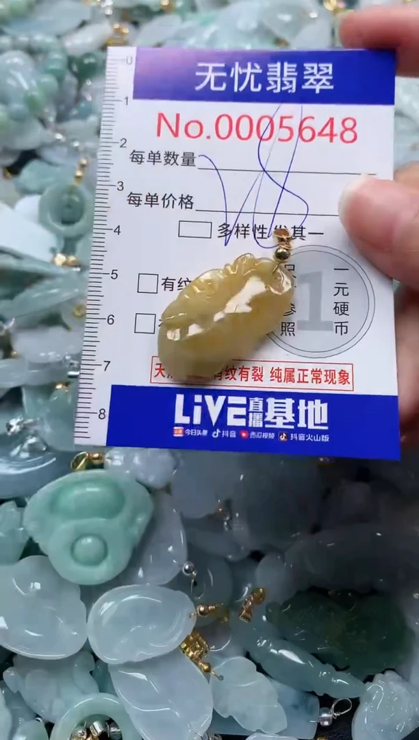 颈饰未镶嵌翡翠5648