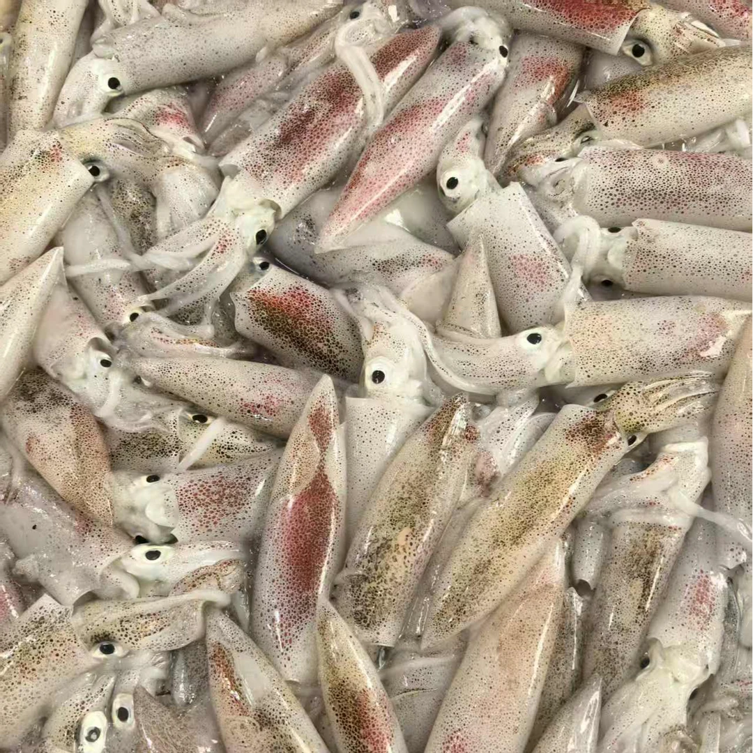 笔管 顺丰包邮【今天发明天到】