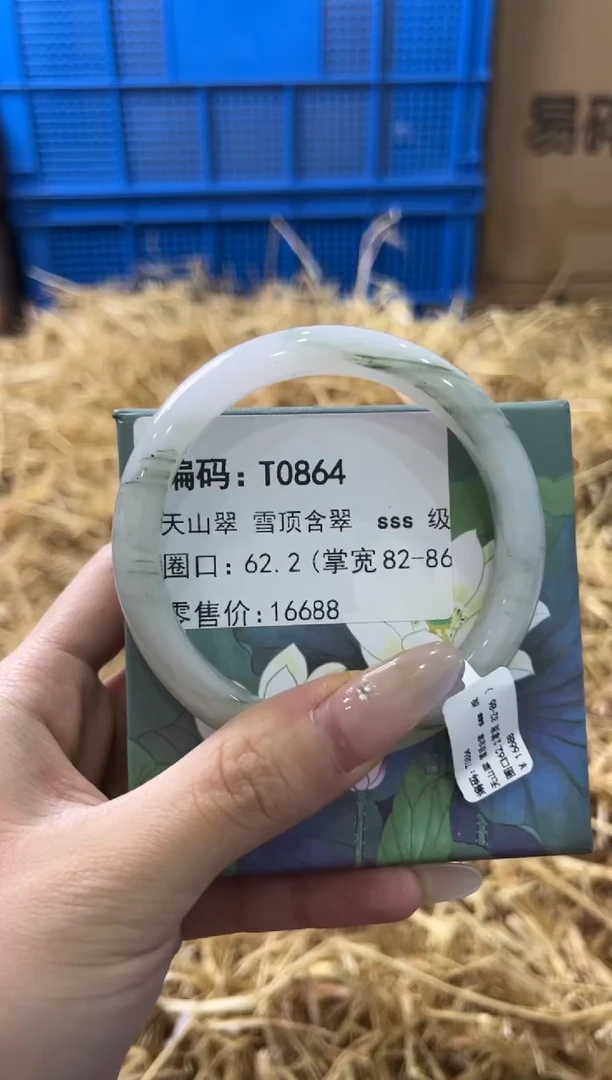 未镶嵌手镯石英质玉T0864