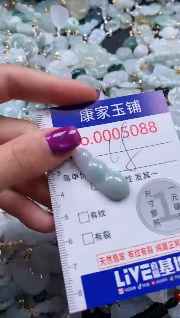 颈饰未镶嵌翡翠5088