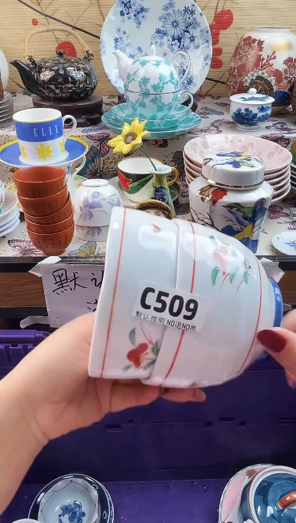 ✽****?==============c509