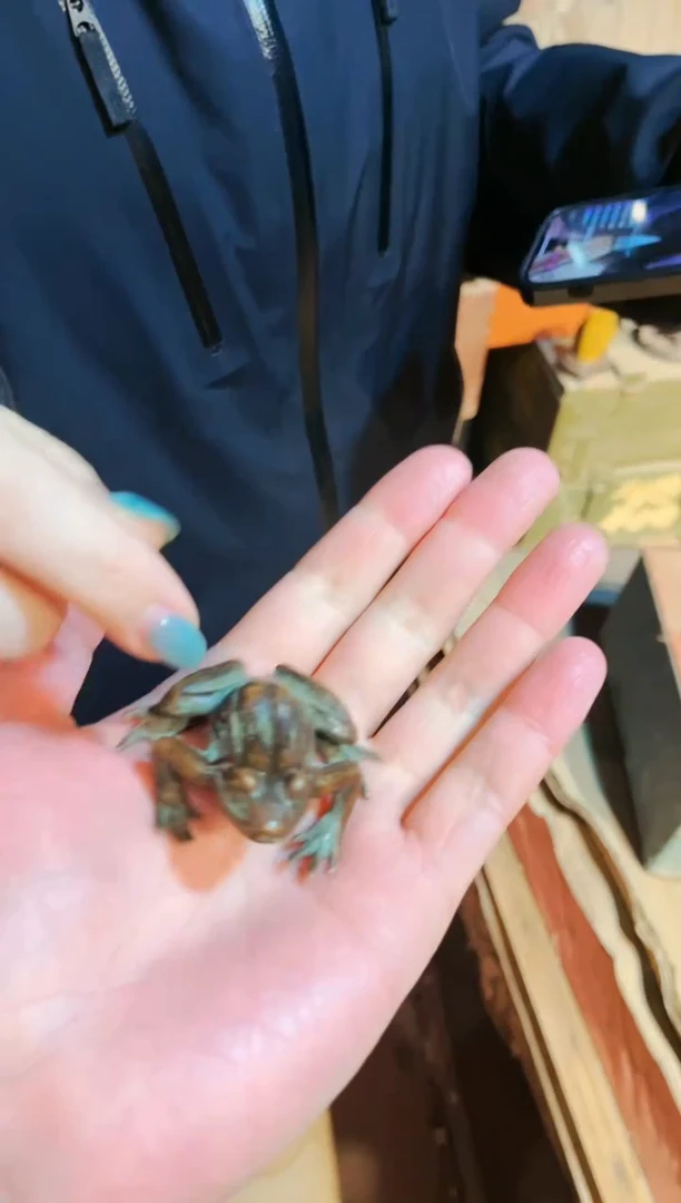 【闪购商品】七七精品专属链接4