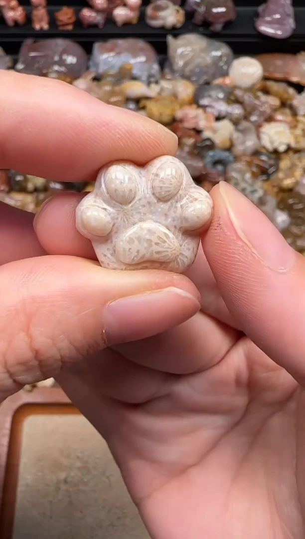 硅化珊瑚（珊瑚玉）未镶嵌颈饰538