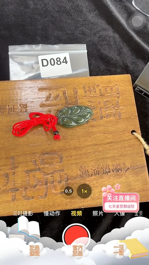 吊坠(赠链)未镶嵌和田玉D084