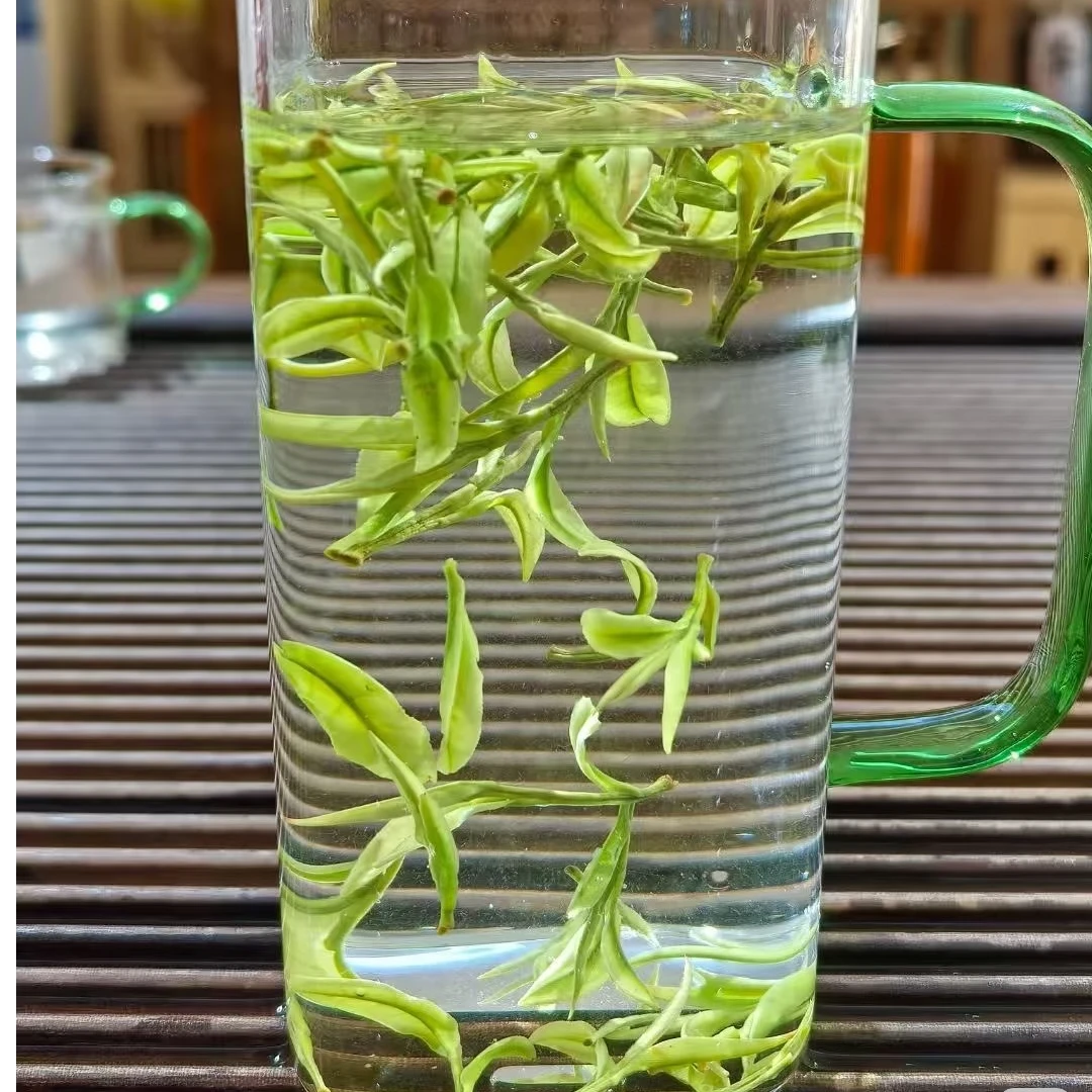 【年中特惠】正宗安吉溪龙原产地发货春季金边明前茶