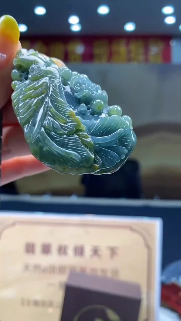 翡翠未镶嵌颈饰********29