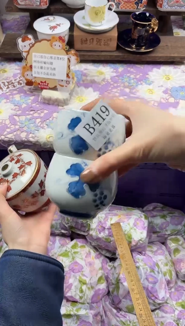 瓷片肉***?                B419