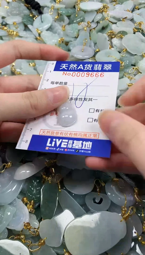 颈饰未镶嵌翡翠纯天然a货翡翠