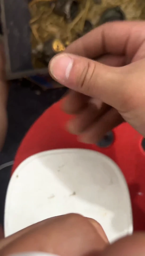 摆件直播闪购精选推荐