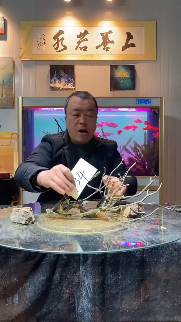 134号天然黄栎木一组