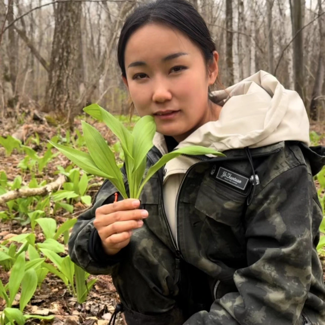 【永乐农人】东北黑龙江深山采摘山葱苗25棵顺丰包邮