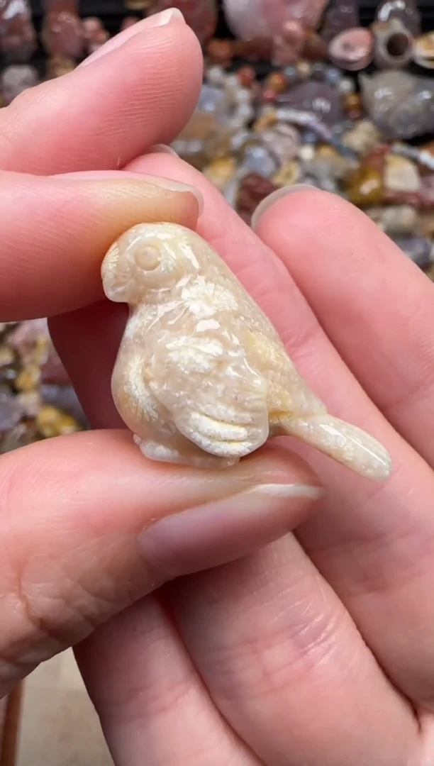 颈饰未镶嵌硅化珊瑚（珊瑚玉）316