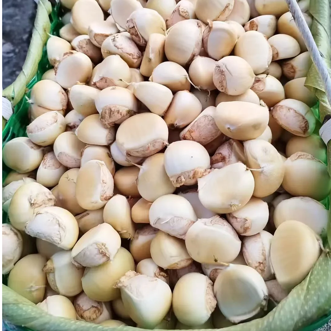 板栗 农家板栗 生板栗