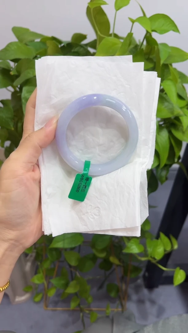 未镶嵌手镯翡翠0000025
