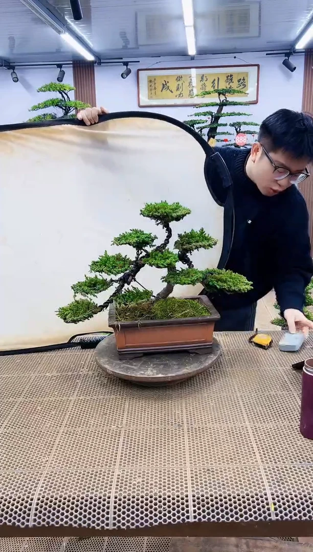 【闪购商品】00000000