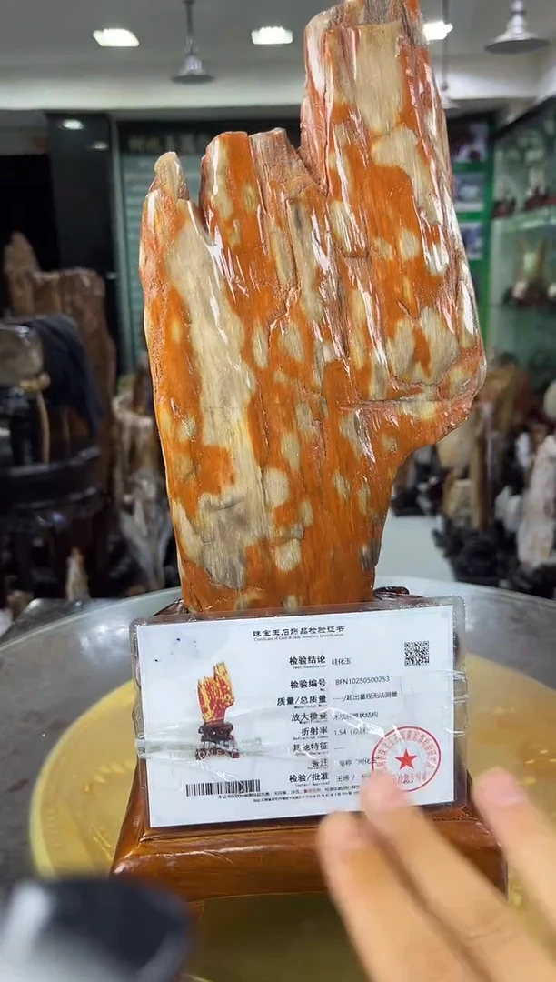 未镶嵌珠宝奇石硅化玉缅甸天然树化玉摆件