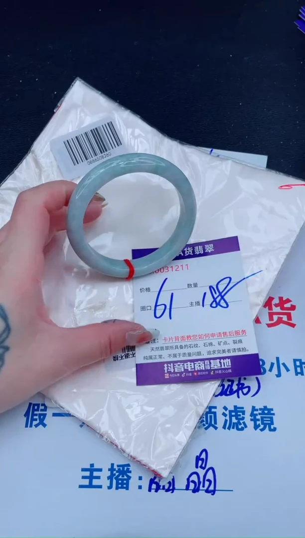 未镶嵌手镯翡翠1