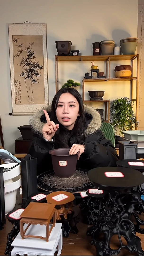 10只15口径金钟紫檀色