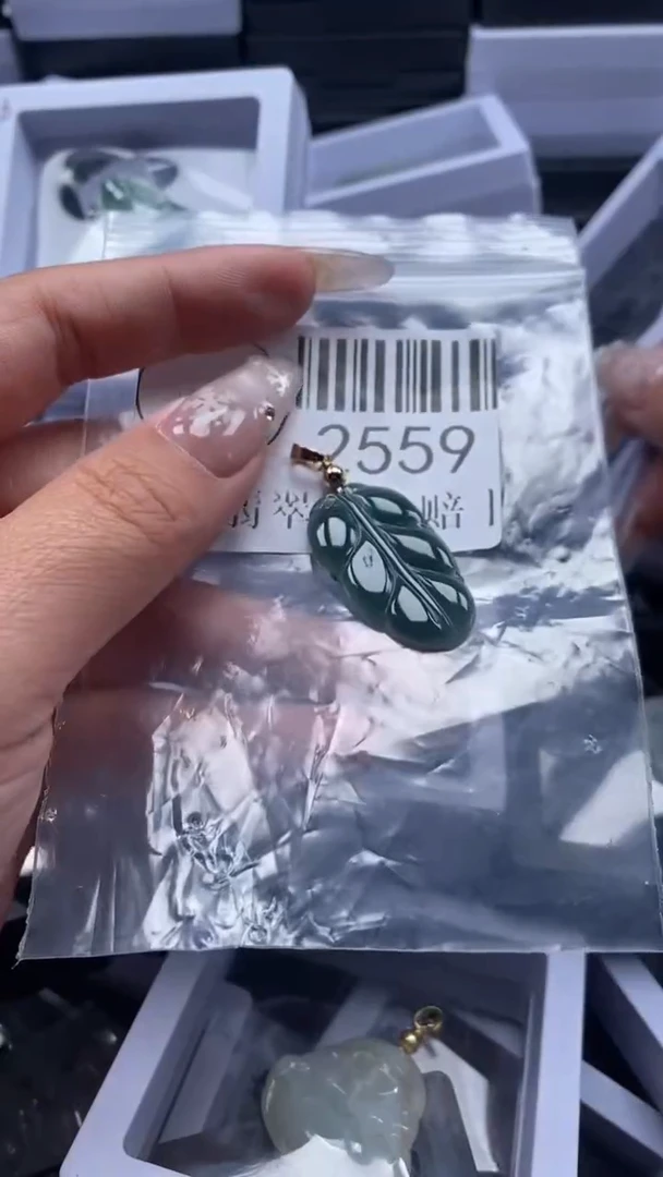 颈饰未镶嵌翡翠2559
