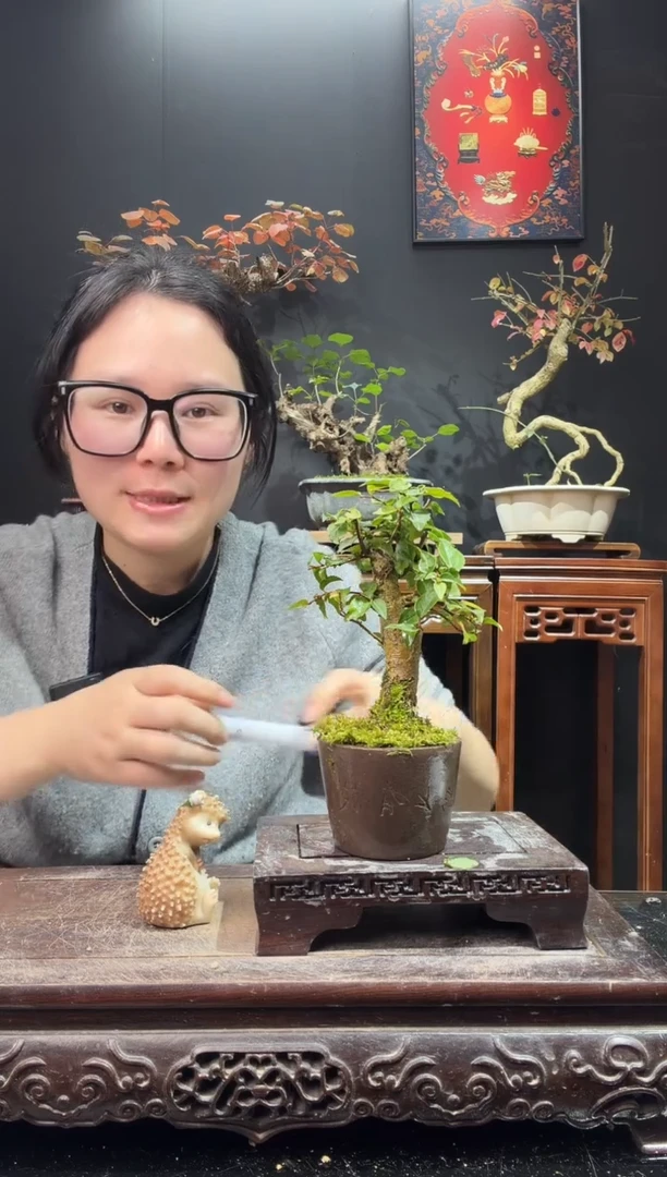 完全开放五00加皮