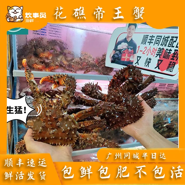鲜活花礁帝王蟹 新风港发货活发包鲜 鲜活海蟹 2-2.5斤/只